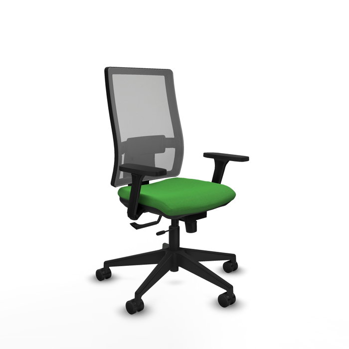 PIQUERAS Y CRESPO Silla de oficina Horna con mecanismo Sincro/Traslack, Verde y Gris PIQUERAS Y CRESPO Silla de oficina Horna con mecanismo Sincro/Traslack, Verde y Gris