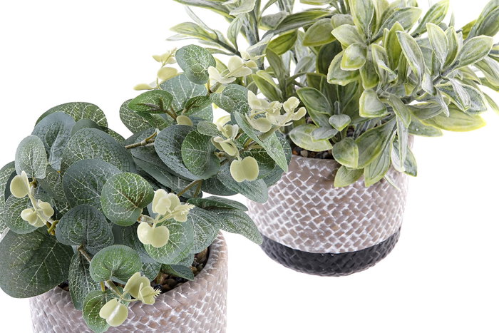 DKD Home Decor Planta Resina PE Surtida de 2 Colores