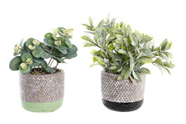 DKD Home Decor Planta Resina PE Surtida de 2 Colores