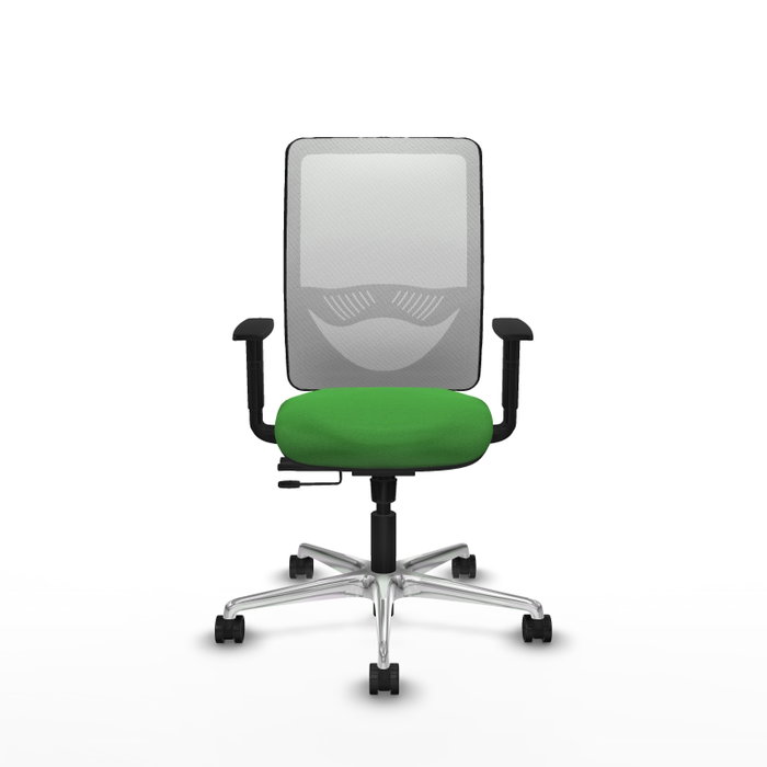 PIQUERAS Y CRESPO Silla de oficina Zulema con mecanismo Sincro/Traslack, Verde y Blanco PIQUERAS Y CRESPO Silla de oficina Zulema con mecanismo Sincro/Traslack, Verde y Blanco