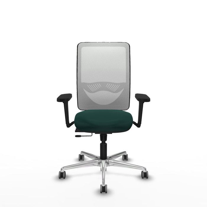 PIQUERAS Y CRESPO Silla de oficina Zulema con mecanismo Sincro/Traslack, Verde botella y Blanco PIQUERAS Y CRESPO Silla de oficina Zulema con mecanismo Sincro/Traslack, Verde botella y Blanco