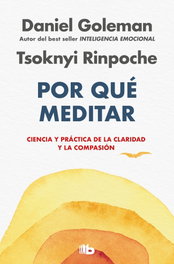 Por qué meditar, Daniel Goleman - B DE BOLSILLO