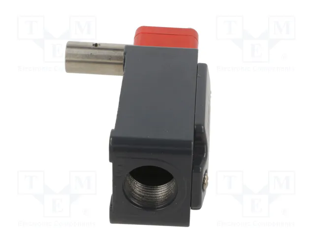 PIZZATO ELETTRICA Interruptor de seguridad de bisagra FD NC x2 IP67 PIZZATO ELETTRICA Interruptor de seguridad de bisagra FD NC x2 IP67