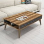 Hanah Home Mesa de Centro City Walnut Chalcedony Roble y Calcedonia 105x60x36.6 cm