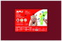Apli Goma EVA Lila 40x60 cm 2 mm Pack de 5 Unidades