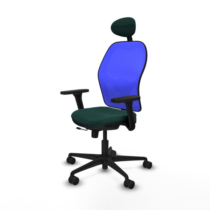 PIQUERAS Y CRESPO Silla de oficina Jorquera con mecanismo Sincro/Traslack, Verde botella y Azul PIQUERAS Y CRESPO Silla de oficina Jorquera con mecanismo Sincro/Traslack, Verde botella y Azul