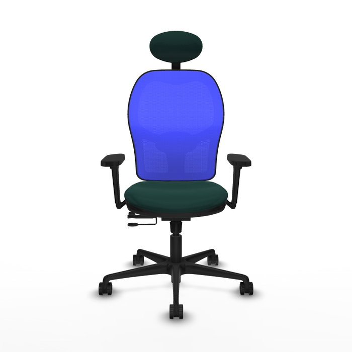 PIQUERAS Y CRESPO Silla de oficina Jorquera con mecanismo Sincro/Traslack, Verde botella y Azul PIQUERAS Y CRESPO Silla de oficina Jorquera con mecanismo Sincro/Traslack, Verde botella y Azul