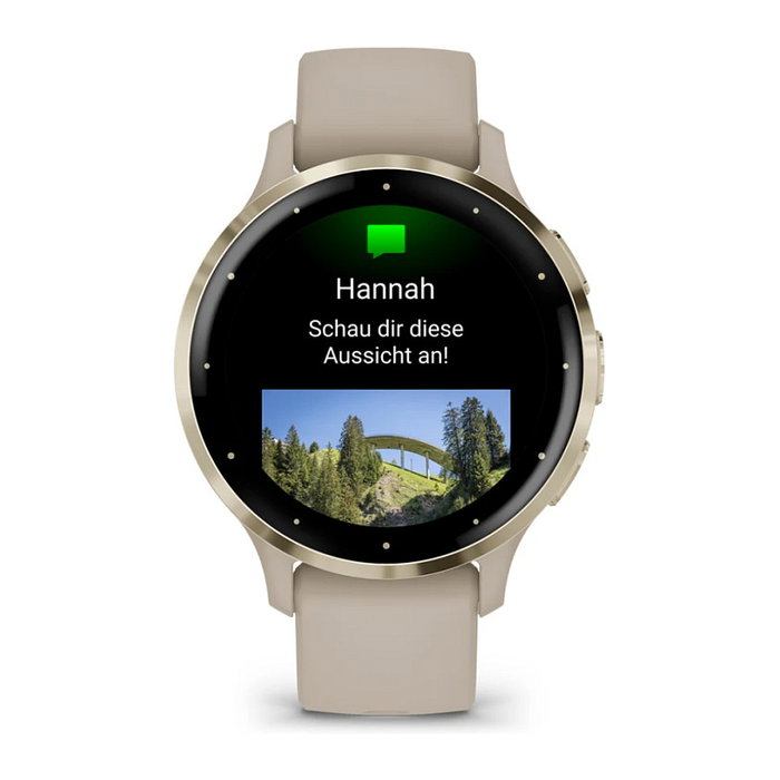 Garmin Venu 3S French Grey 41mm