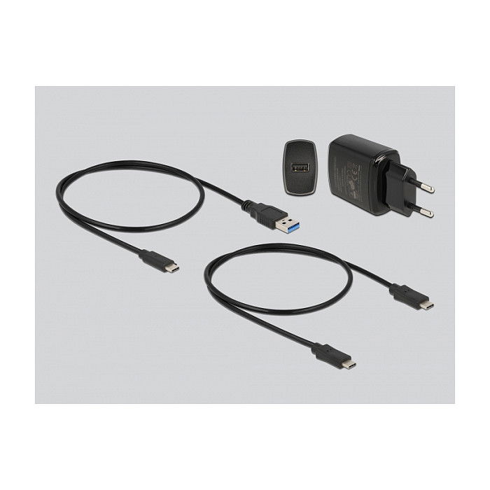 DeLOCK Estación de Acoplamiento M.2 para 2 NVMe PCIe SSD con Función Clonación, USB 3.2 Gen 2 Tipo C 10 Gbit/s, Plug and Play, Color Negro