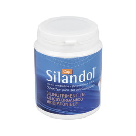 MCA PRODUCTOS NATURALES Silandol 120Cap. - Complemento Alimenticio con Silicio Orgánico, Glucosamina, Condroitina y Cúrcuma para Soporte Articular