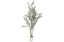 DKD Home Decor Árbol de Olivo Decorativo 60x60x150 cm Verde y Blanco