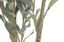 DKD Home Decor Arbol Mediterraneo Olivo Artificial, Tiesto de Cemento, Verde y Blanco, 60 cm Ancho x 60 cm Largo x 150 cm Alto