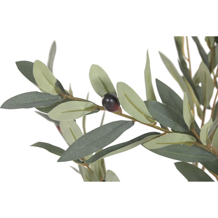 DKD Home Decor Árbol de Olivo Decorativo 60x60x150 cm Verde y Blanco