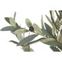 DKD Home Decor Árbol de Olivo Decorativo 60x60x150 cm Verde y Blanco