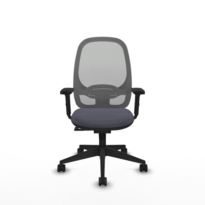PIQUERAS Y CRESPO Silla de oficina Cilanco con mecanismo Sincro, Gris PIQUERAS Y CRESPO Silla de oficina Cilanco con mecanismo Sincro, Gris