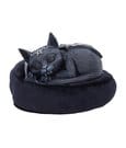 Nemesis Now Cult Cuties Malpuss Dreams Nemesis Now Cult Cuties Malpuss Dreams