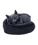 Nemesis Now Cult Cuties Malpuss Dreams