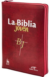Verbo Divino, La biblia joven - VV.AA.
