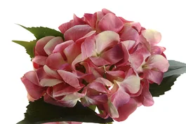 DKD Home Decor Ramo de Hortensias en Poliéster y PE, 30x30x34 cm, Surtido de 2 piezas