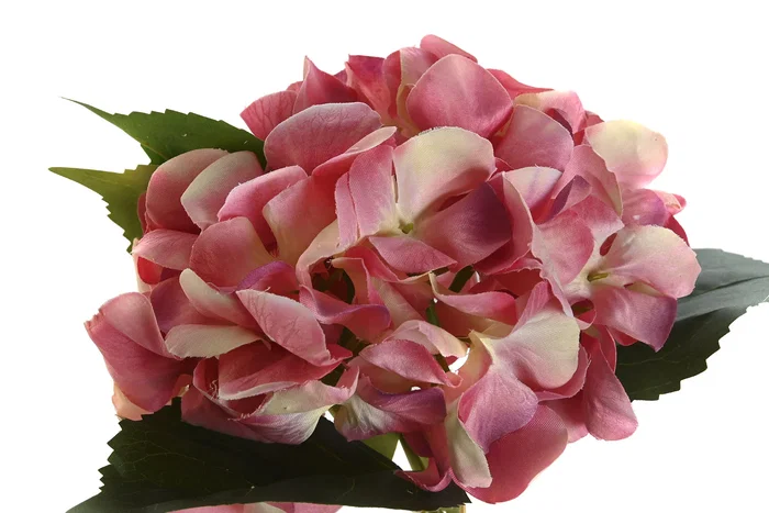 DKD Home Decor Ramo de Hortensias en Poliéster y PE, 30x30x34 cm, Surtido de 2 piezas DKD Home Decor Ramo de Hortensias en Poliéster y PE, 30x30x34 cm, Surtido de 2 piezas