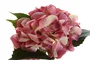 DKD Home Decor Ramo de Hortensias en Poliéster y PE, 30x30x34 cm, Surtido de 2 piezas