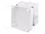ELEKTRO-PLAST NASIELSK EP-LUX Caja de Conexiones Blanca IP55
