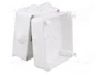 ELEKTRO-PLAST NASIELSK EP-LUX Caja de Conexiones Blanca IP55