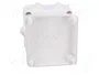 ELEKTRO-PLAST NASIELSK EP-LUX Caja de Conexiones Blanca IP55