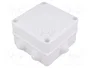 ELEKTRO-PLAST NASIELSK EP-LUX Caja de Conexiones Blanca IP55