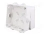 ELEKTRO-PLAST NASIELSK EP-LUX Caja de Conexiones Blanca IP55