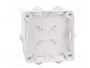 ELEKTRO-PLAST NASIELSK EP-LUX Caja de Conexiones Blanca IP55