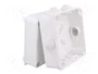 ELEKTRO-PLAST NASIELSK EP-LUX Caja de Conexiones Blanca IP55