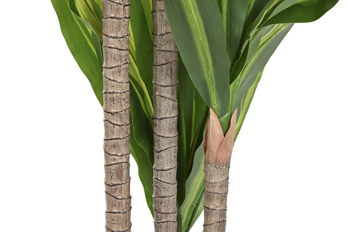 DKD Home Decor Planta Artificial Dracaena Verde 80 x 159 x 80 cm (2 Unidades)