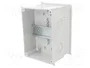 ELEKTRO-PLAST NASIELSK EP-LUX PLUS Carcasa para aparatos modulares gris claro