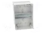 ELEKTRO-PLAST NASIELSK EP-LUX PLUS Carcasa para aparatos modulares gris claro