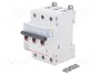 LEGRAND Interruptor magnetotérmico S310 TX 3 polos 10A Caract D