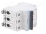 LEGRAND Interruptor magnetotérmico S310 TX 3 polos 10A Caract D