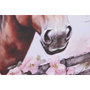 DKD Home Decor Cuadros de Lienzo MDF Caballo Surtido de 2 Piezas 80x60 cm