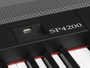 Piano de Escenario Medeli Sp4200/Bk