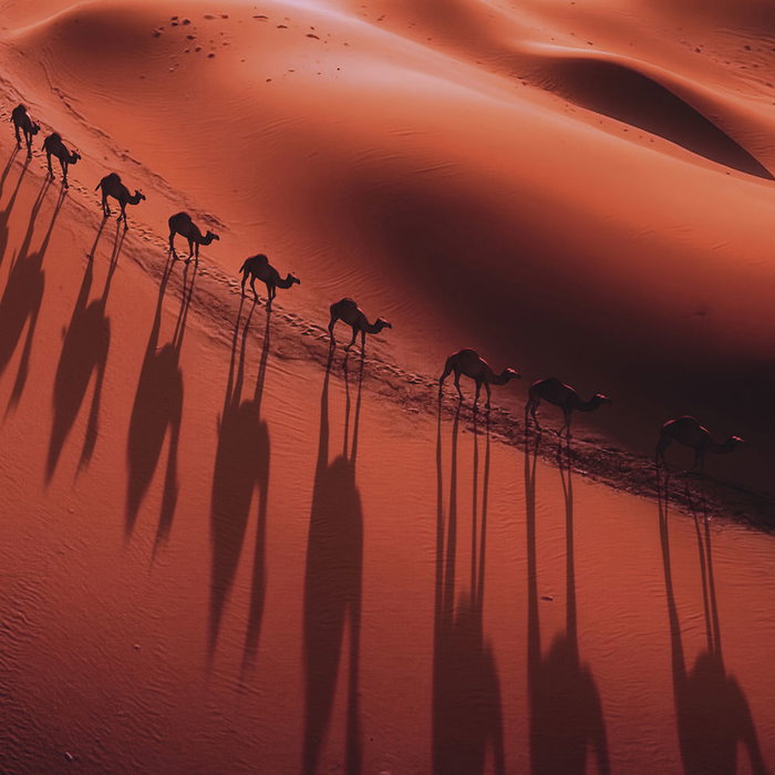 Guerlain Absolus Allegoria Tabac Sahara Eau de Parfum Vaporizador 125 ml