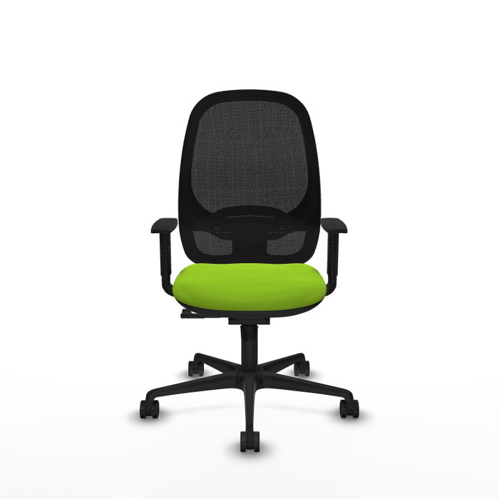 PIQUERAS Y CRESPO Silla de oficina Cilanco con mecanismo Sincro, Pistacho y Negro PIQUERAS Y CRESPO Silla de oficina Cilanco con mecanismo Sincro, Pistacho y Negro