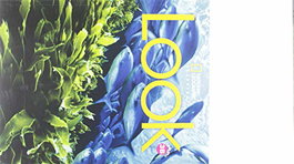 National Geographic Learning Look Level 3B Combo Book Split (BrE)