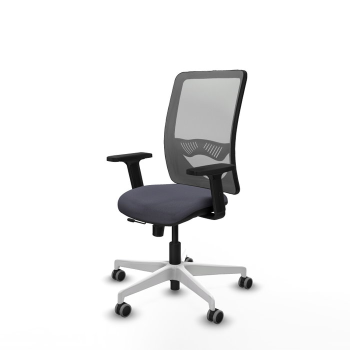 PIQUERAS Y CRESPO Silla de oficina Zulema con mecanismo Sincro/Traslack, Gris PIQUERAS Y CRESPO Silla de oficina Zulema con mecanismo Sincro/Traslack, Gris