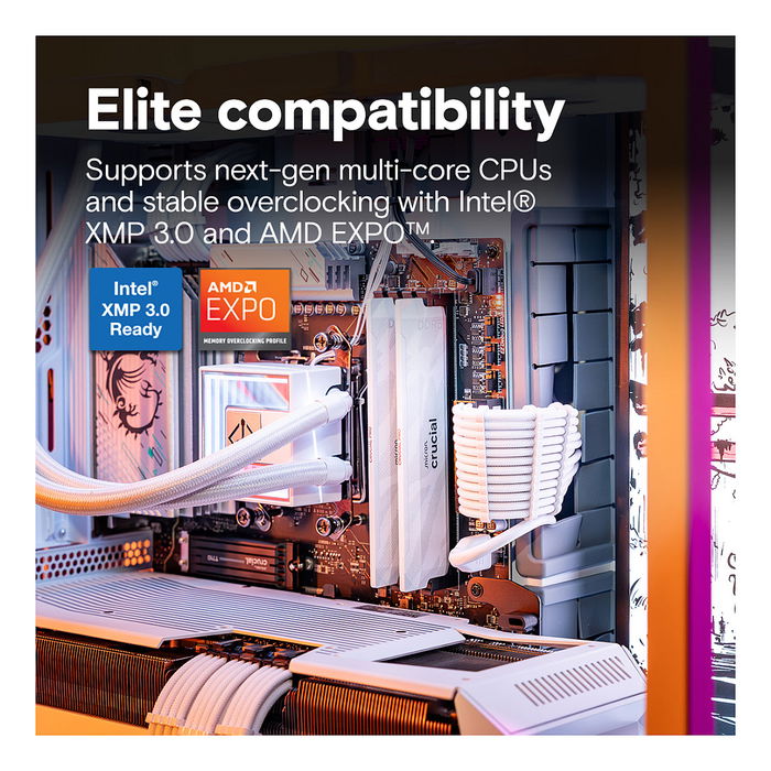 Crucial CP2K16G64C32U5W Pro 32GB Kit (2x16GB) DDR5 6400MT/s CL32 UDIMM Blanco, Intel XMP 3.0 y AMD EXPO