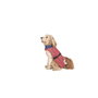 Dog Gone Smart Impermeable Acacia Coral Azul 60 cm