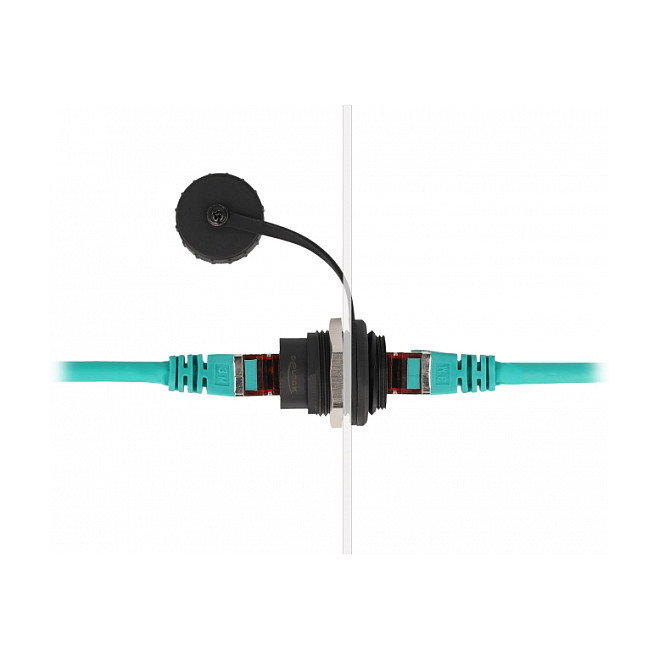 DeLOCK Módulo Keystone RJ45 Cat.6 con tapa protectora IP67 Negro