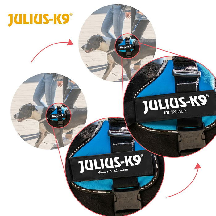 Arnés para Perro Julius K9 Power Negro 1 Baby 1 (XS)