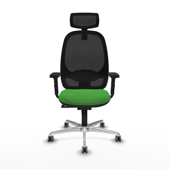 PIQUERAS Y CRESPO Silla de oficina Cilanco con mecanismo Sincro Verde y Negro