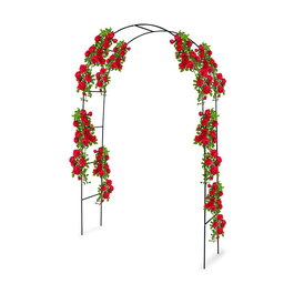 Kinzo Arco para Rosales Metálico 240 x 140 cm
