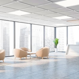 Philips Panel LED Ultrafino 42W 6000K CW Blanco